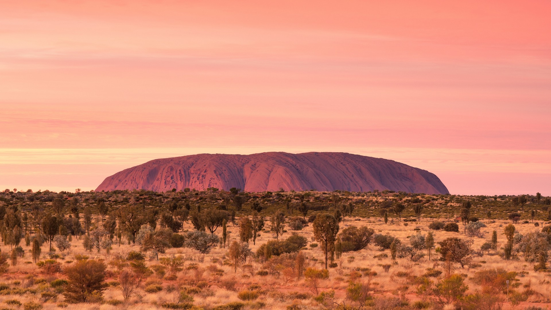 Uluru