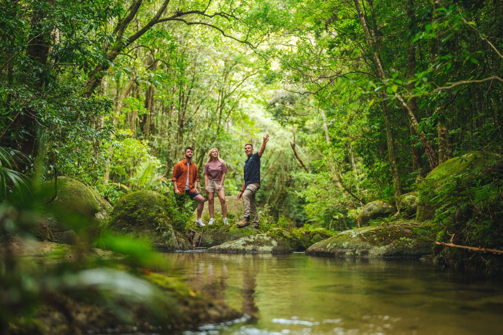 FNQ Nature Tours
