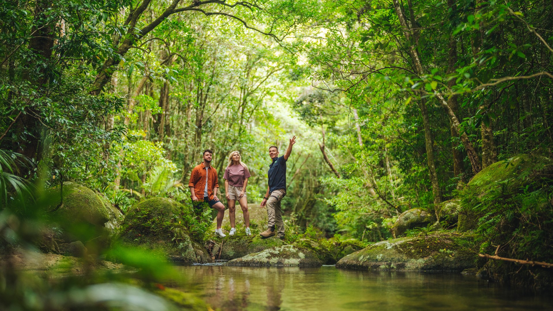 A guide on a FNQ Nature Tours small group tour