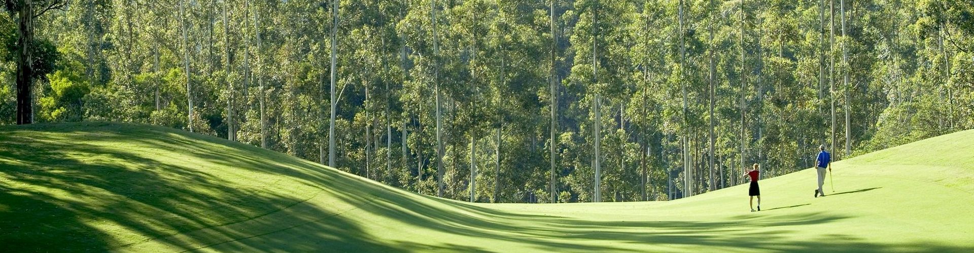 A tree lined green on a Great Golf Courses of Australia golf course