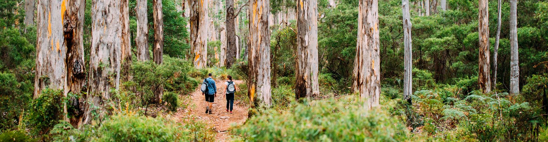 Guests on a Great Walks tour