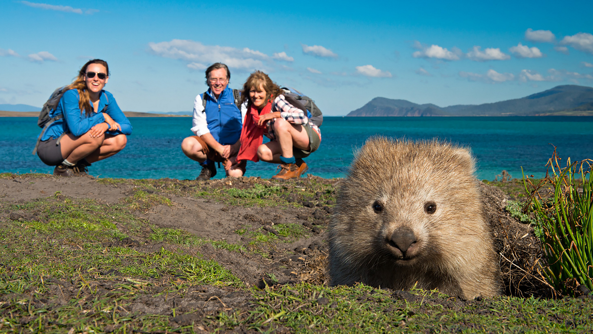 Guests on a Great Walks tour