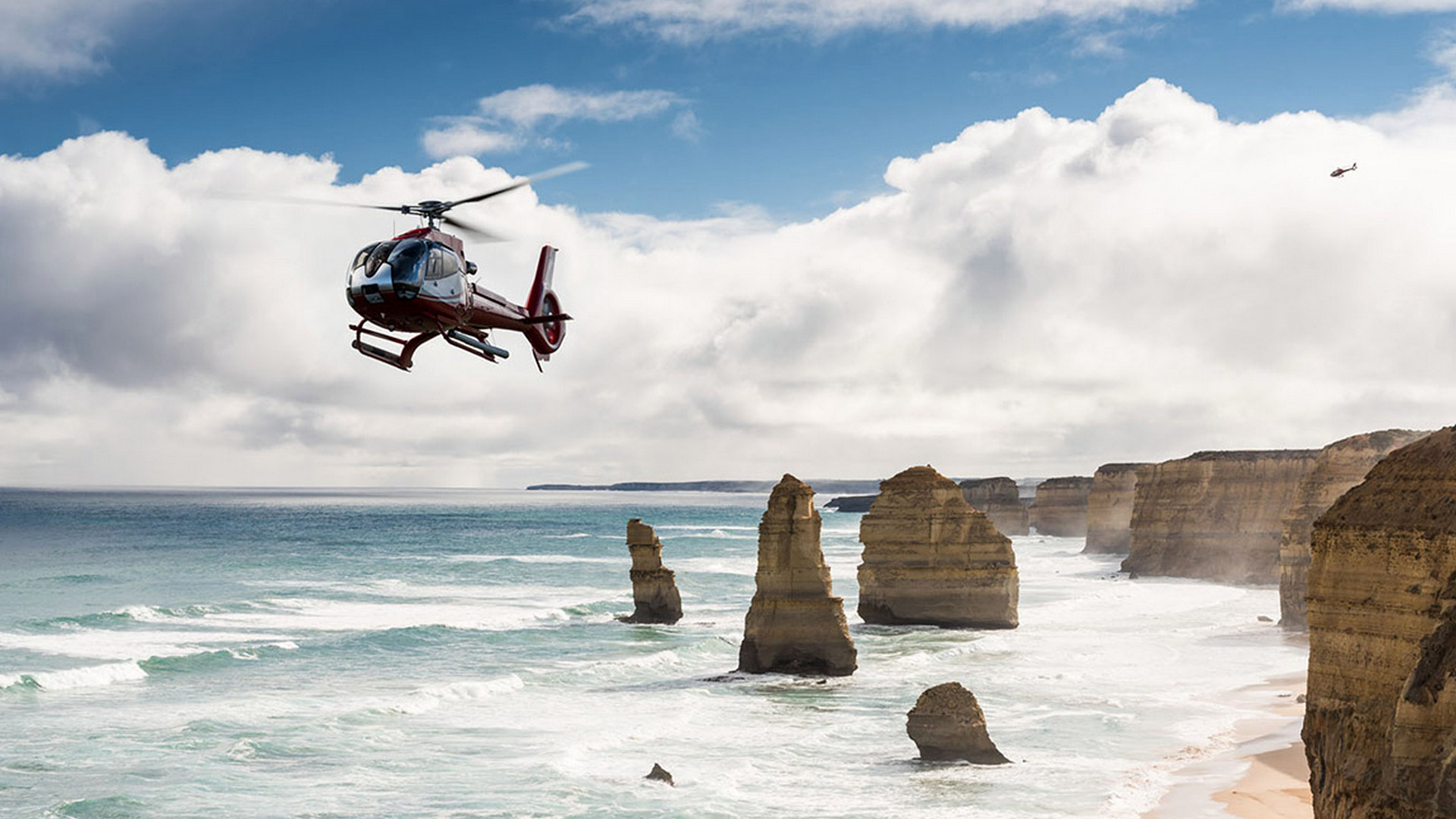 A penguin colony walking on the beach on Phillip Island, Localing Melbourne