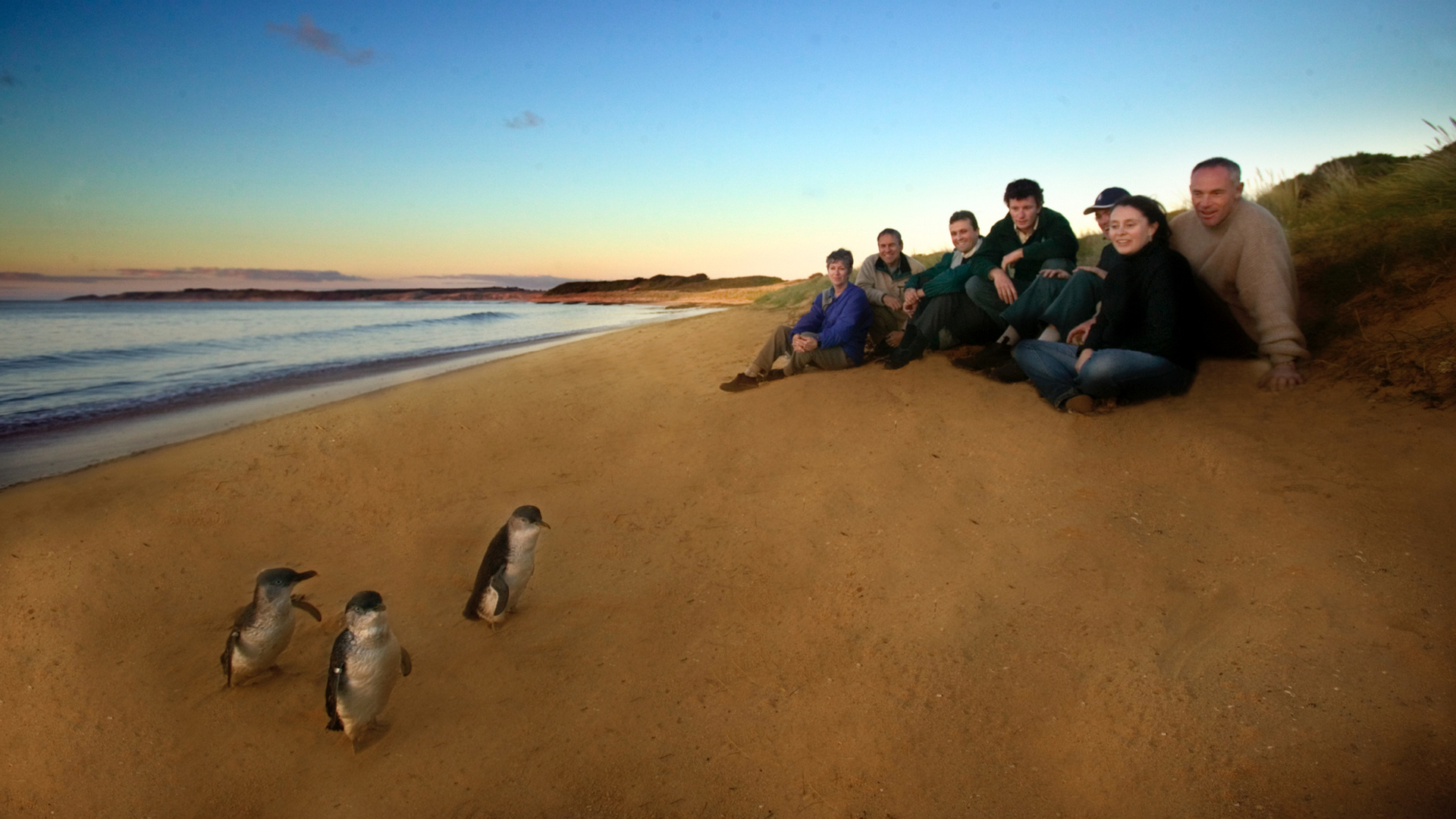 12 Apostles view on a Melbourne Private Tours small group tour