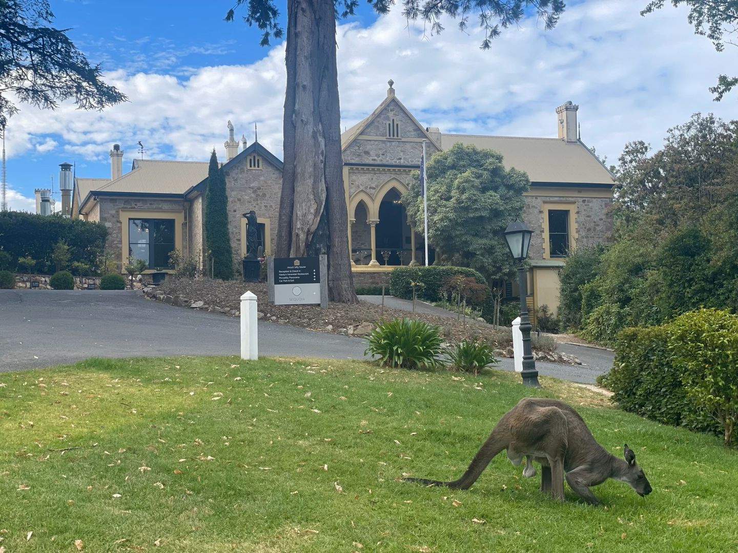 Mount Lofty House