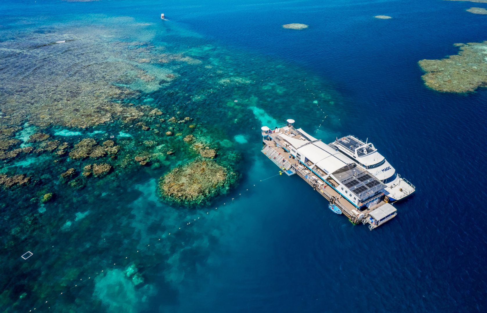 Reef Magic Cruises