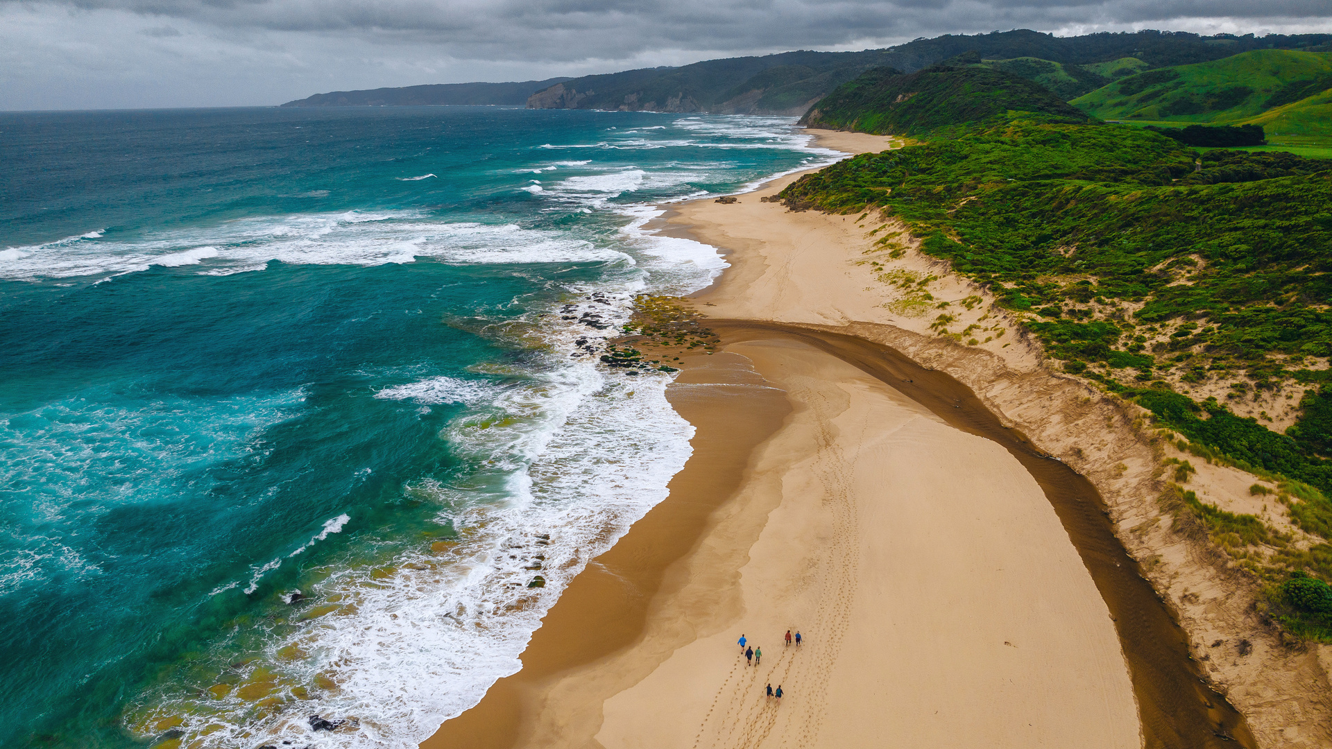 A pristine beach on the Great Ocean Walk with Tasmanian Walking Co - Twelve Apostles