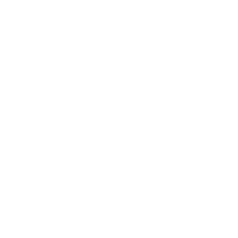 Quicklink Icon