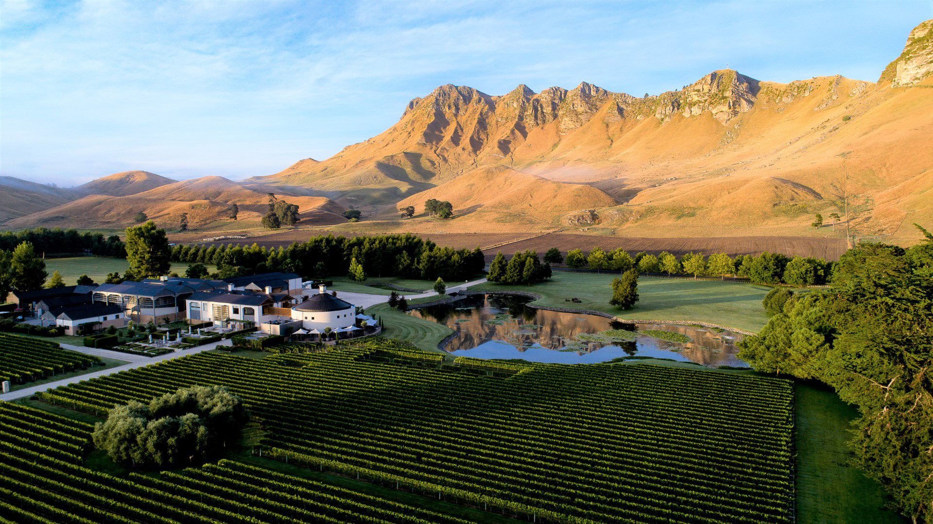 Aerial view of the vineyards at Craggy Range