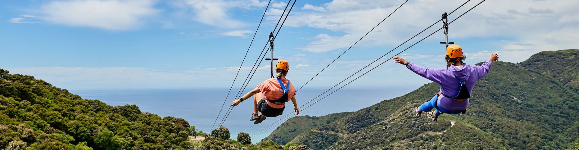 A couple ziplining over a regenerated forest at EcoZip Adventures Kaikōura