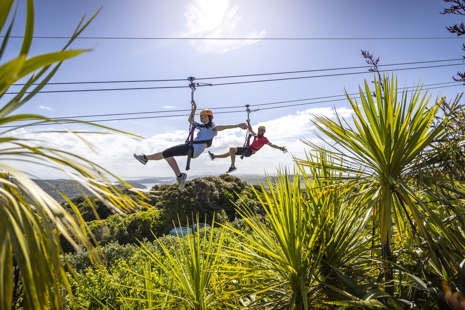 EcoZip Adventures Waiheke Island