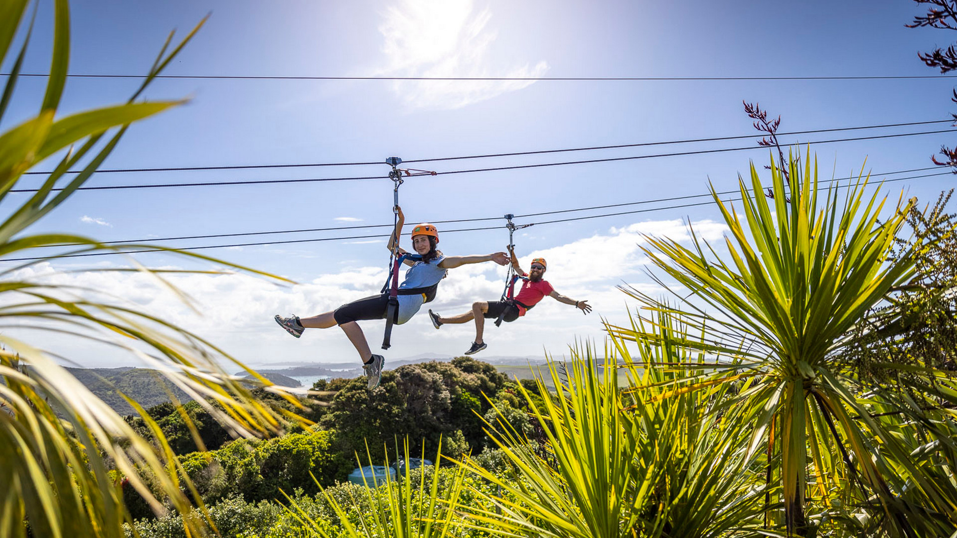 A couple ziplining at EcoZip Adventures Waiheke Island