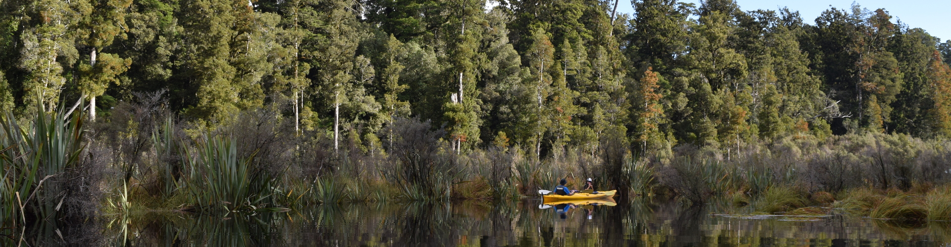Kayakers on a Franz Josef Wilderness Tours