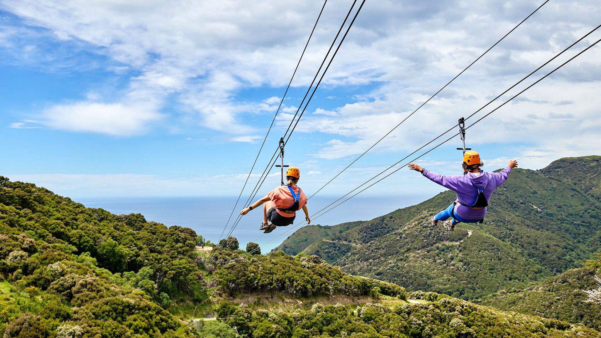 A couple ziplining over a regenerated forest at EcoZip Adventures Kaikōura