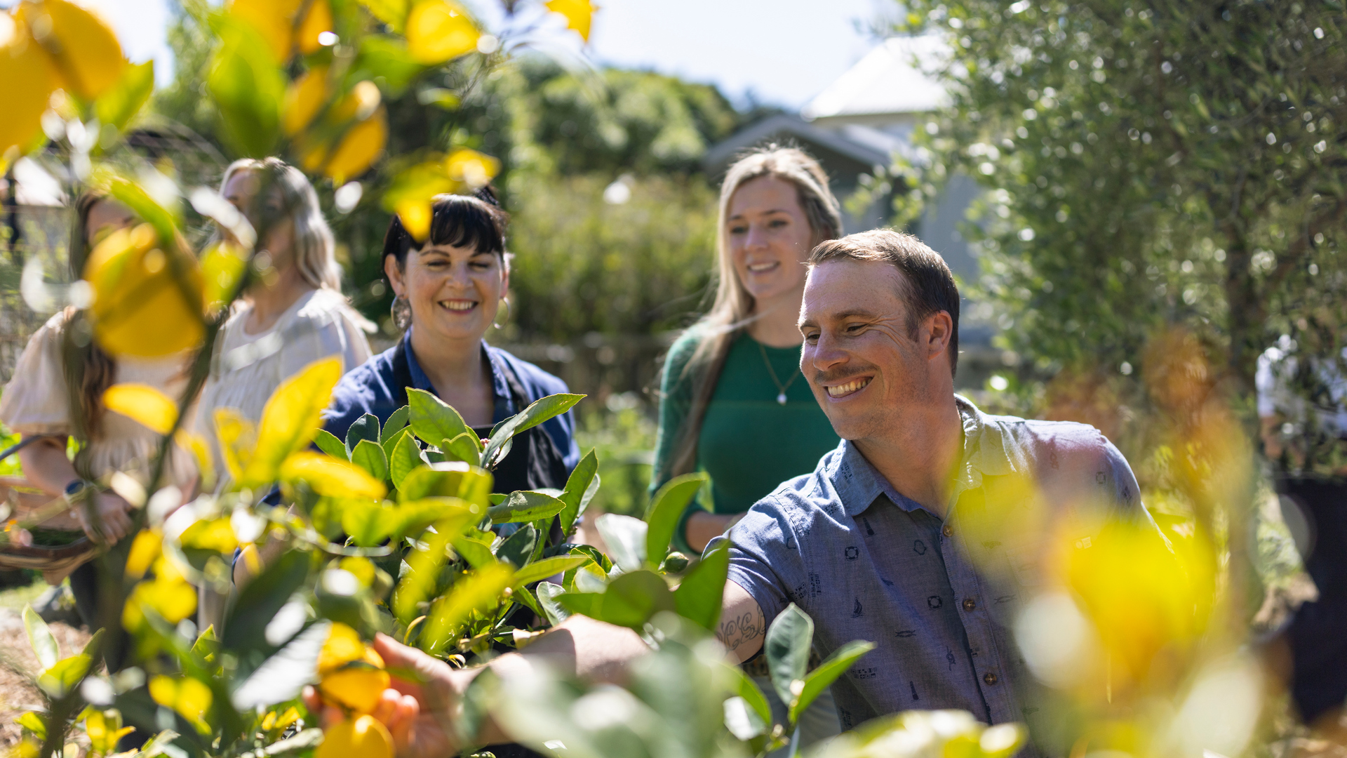 Hapuku Kitchen, Kaikōura