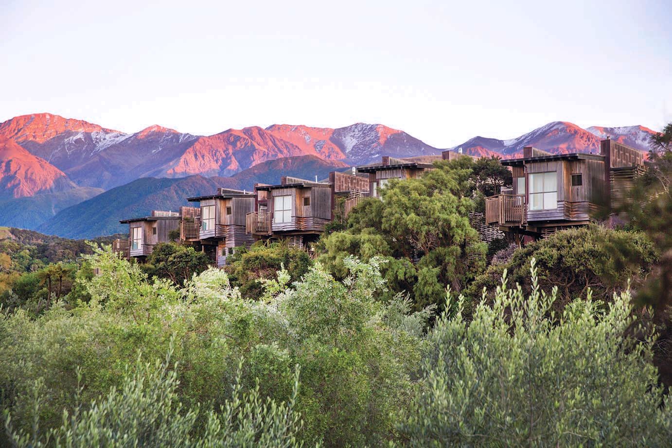 Hapuku Lodge & Treehouses