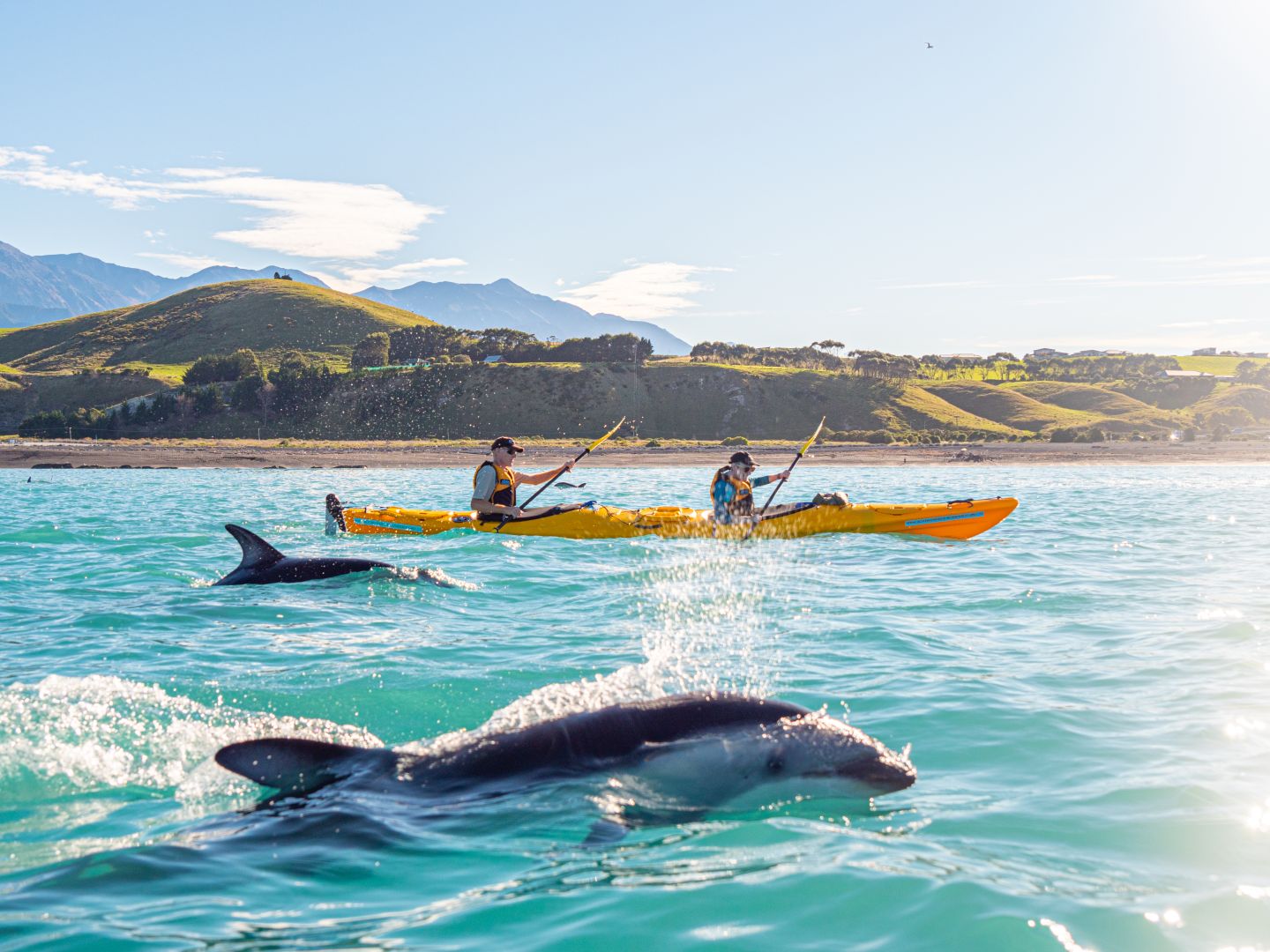 Kaikōura Kayaks
