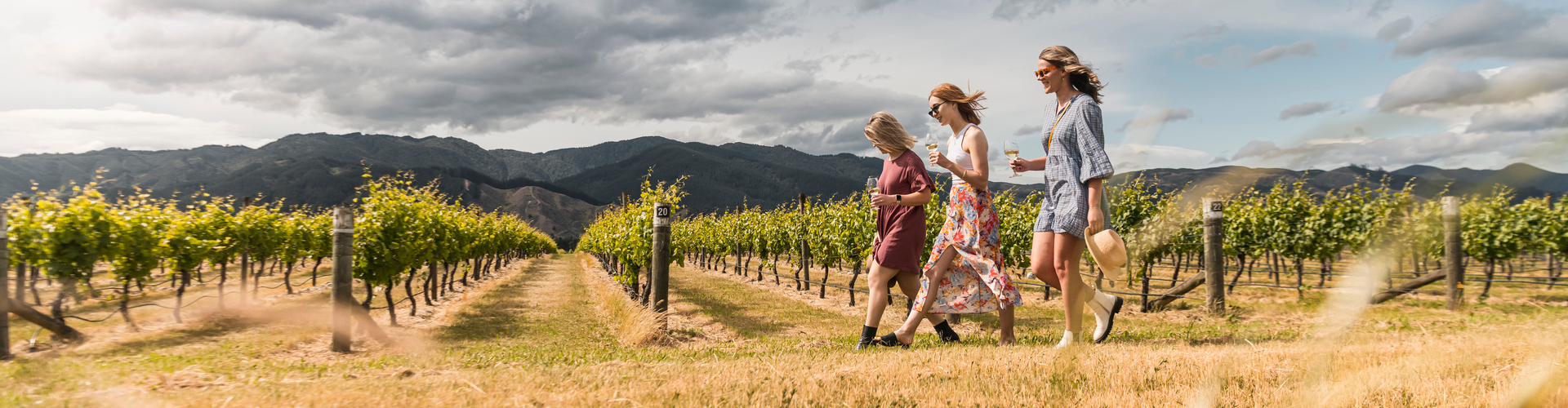 Guest sampling wine walking through a vineyard on a Marlborough Tour Company tour