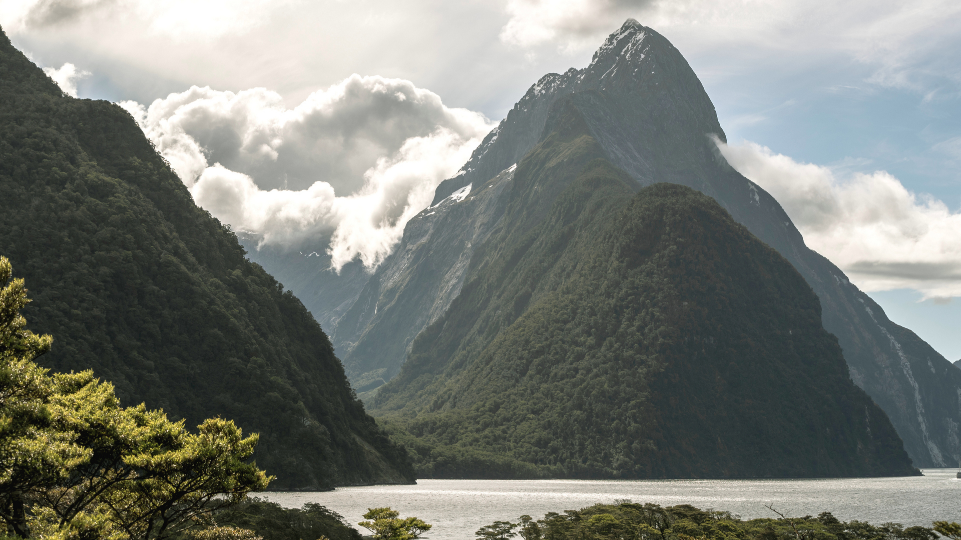 Embrace the spirit of Milford Sound in this exclusive tour, where rich storytelling and intimate encounters with the land and sea