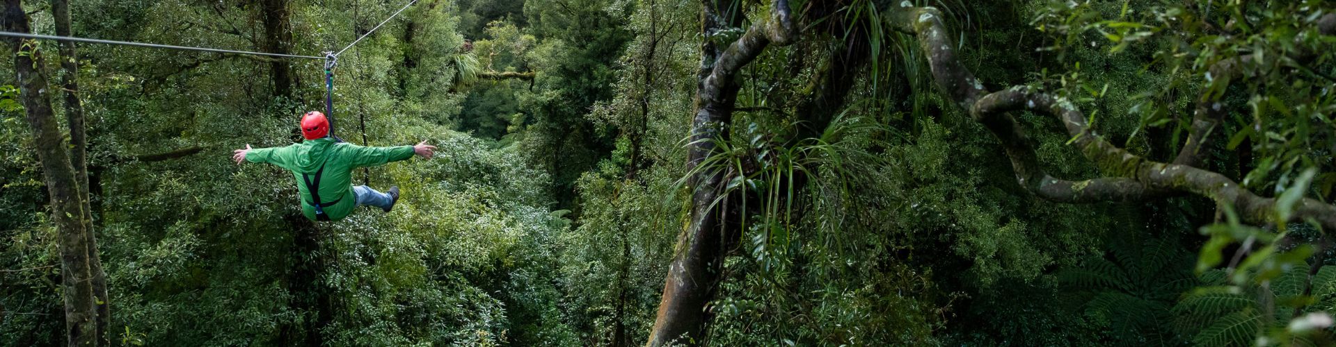 A guest ziplining through regenerated forest with Rotorua Canopy Tours