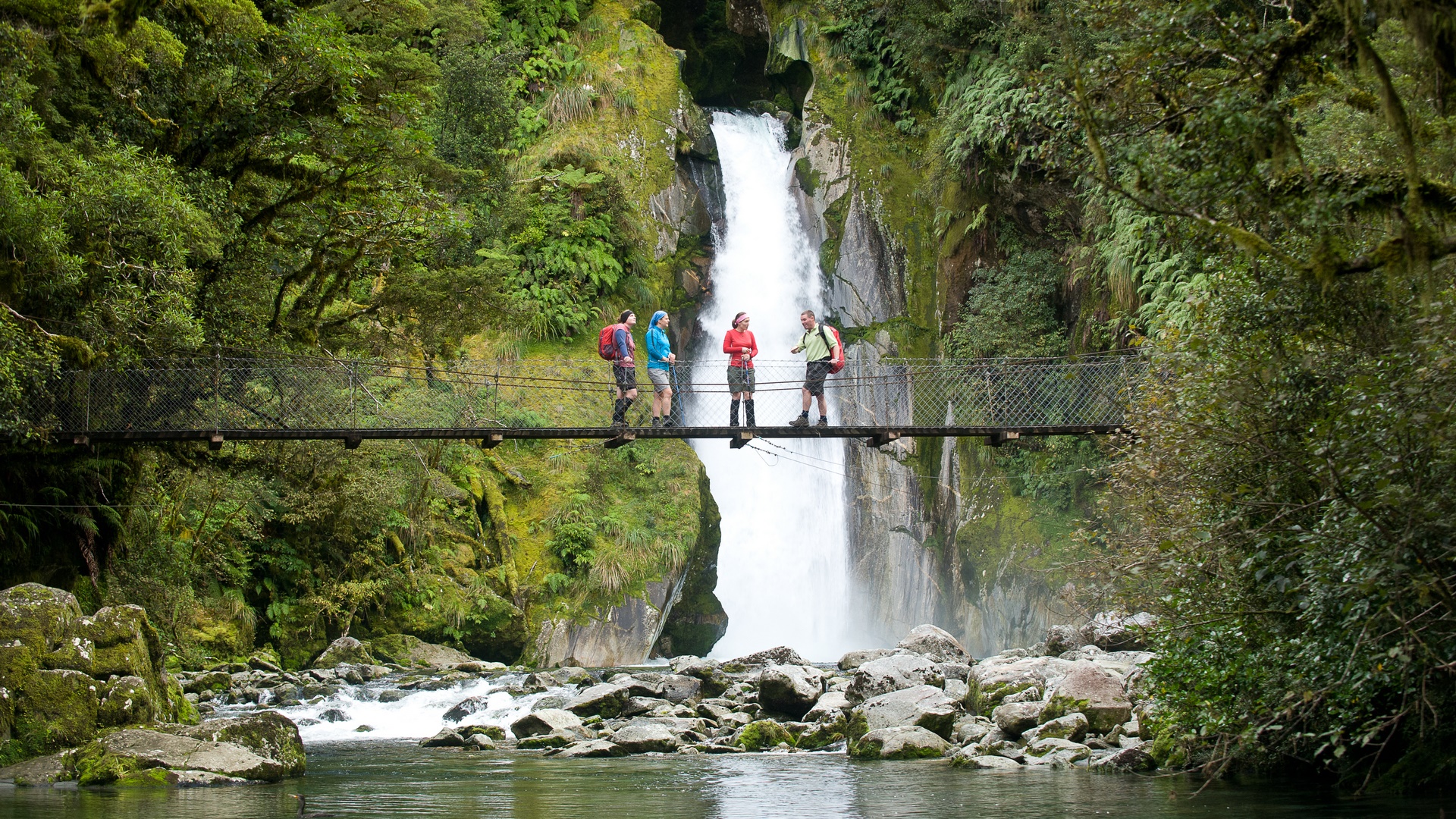 Trips & Tramps is Fiordland National Park’s premier small-group and private touring company