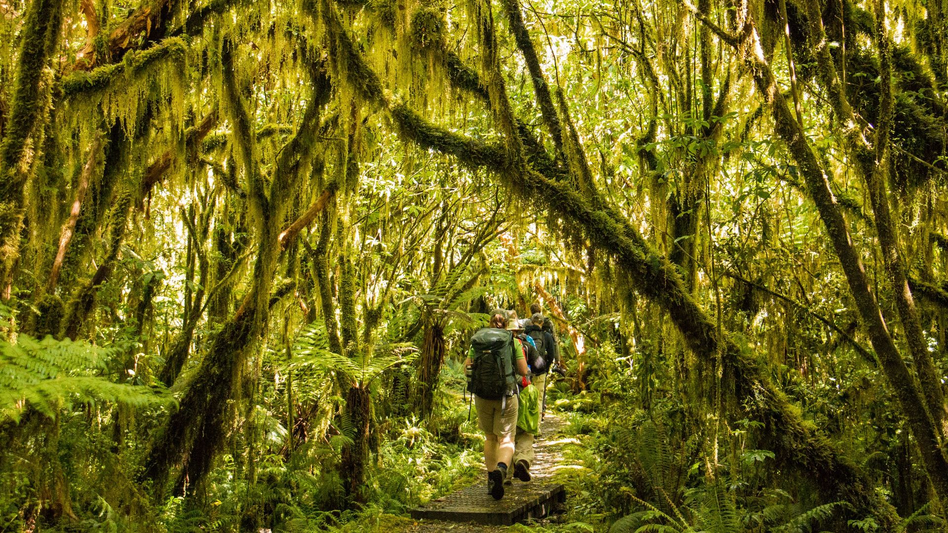 No matter your choice, enjoy small group tours and an unforgettable, quintessentially New Zealand experience