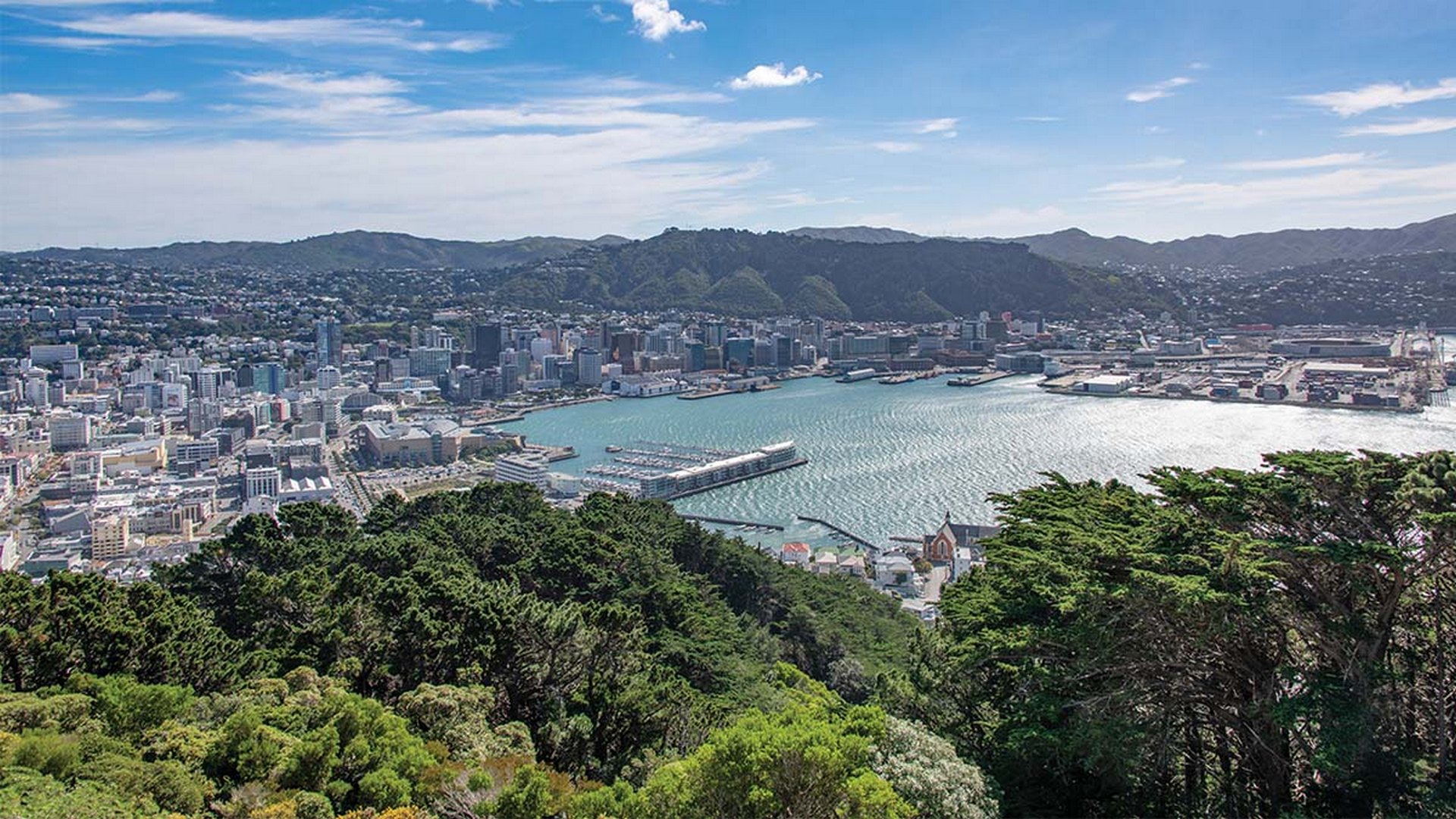 Wellington Helicopters offers lift off from its waterfront central city base directly to your luxury lodge via either a single engine or twin-engine