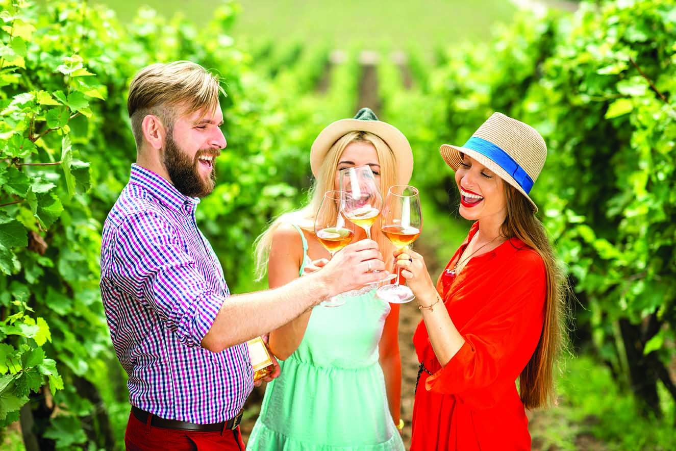 Wine Art & Wilderness