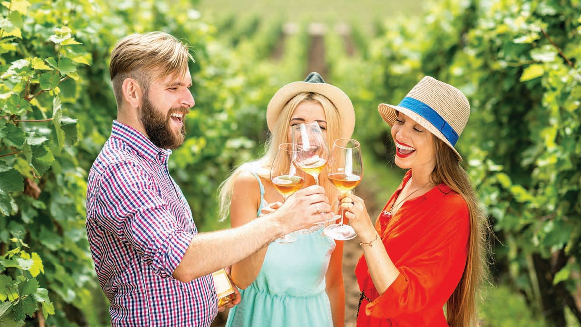 Wine Art & Wilderness